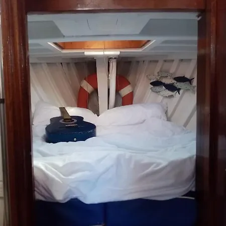 Superbe Vieux Greement A La Rochelle *