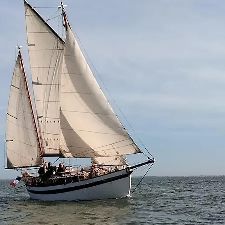 Superbe Vieux Greement A La Rochelle